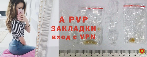 PSILOCYBIN Верея