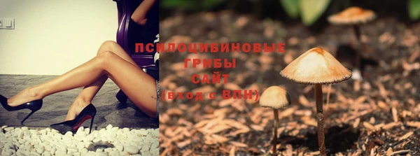 стаф Богородицк