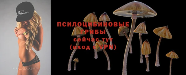 стаф Богородицк