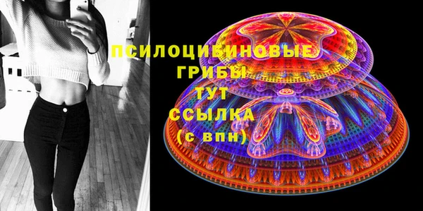 PSILOCYBIN Верея