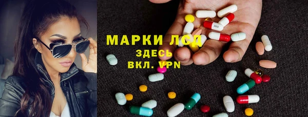ешки Богданович