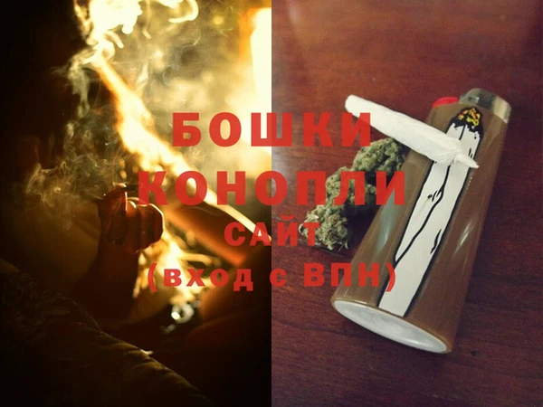 PSILOCYBIN Верея