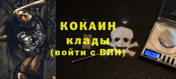 стаф Богородицк