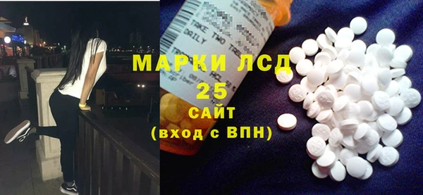 PSILOCYBIN Верея