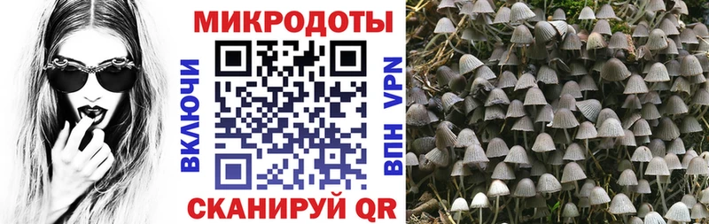 Галлюциногенные грибы Psilocybe  Очёр 